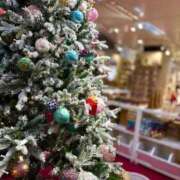 ヒメ日記 2025/12/07 10:50 投稿 わかな 電車ごっこ