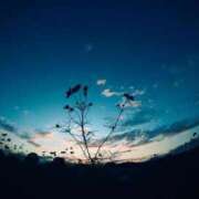 ヒメ日記 2025/12/27 00:40 投稿 わかな 電車ごっこ