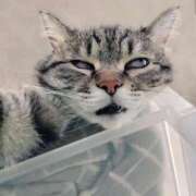 ヒメ日記 2026/01/05 23:29 投稿 わかな 電車ごっこ