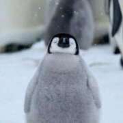 わかな 向かってます🐧 電車ごっこ