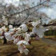 ヒメ日記 2026/04/05 08:00 投稿 わかな 電車ごっこ