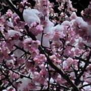 ヒメ日記 2026/03/10 22:11 投稿 ゆいか MIKADO