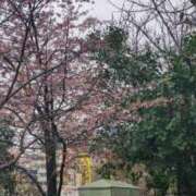 ヒメ日記 2026/03/22 08:40 投稿 ゆいか MIKADO