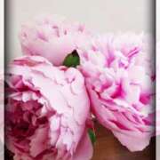 ヒメ日記 2025/05/24 18:41 投稿 ひびき 阪神人妻花壇