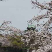 ヒメ日記 2024/04/07 20:08 投稿 ひびき 明石人妻花壇