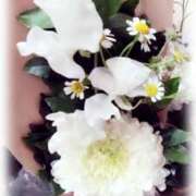 ヒメ日記 2025/01/27 16:08 投稿 ひびき 大阪人妻援護会