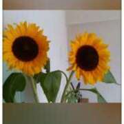 ヒメ日記 2025/07/03 20:26 投稿 ひびき 大阪人妻援護会