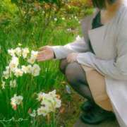 ヒメ日記 2025/06/11 19:30 投稿 ましろ カワサキEROTIC（ソープランド）