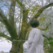 ヒメ日記 2025/07/23 15:57 投稿 ましろ カワサキEROTIC（ソープランド）