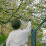 ヒメ日記 2025/08/01 06:30 投稿 ましろ カワサキEROTIC（ソープランド）