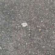 ヒメ日記 2025/06/25 08:35 投稿 モネ ソープランドMAX‐マックス- 浅草店