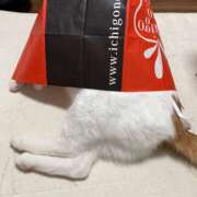 ヒメ日記 2025/01/13 08:50 投稿 あおい 奥鉄オクテツ東京店（デリヘル市場）