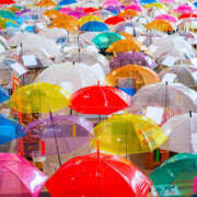 ヒメ日記 2025/05/30 10:05 投稿 あおい 奥鉄オクテツ東京店（デリヘル市場）