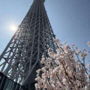 ヒメ日記 2026/03/31 17:50 投稿 あおい 奥鉄オクテツ東京店（デリヘル市場）