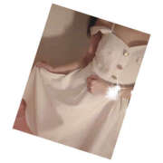 ヒメ日記 2025/10/18 00:20 投稿 りりな ハピネス東京