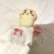 ヒメ日記 2025/11/14 16:45 投稿 ゆずは スピード難波店