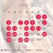 ヒメ日記 2024/12/15 07:45 投稿 うたの コートダジュール