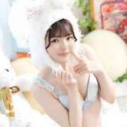 ヒメ日記 2024/12/20 08:45 投稿 うたの コートダジュール