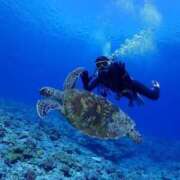 ヒメ日記 2025/03/11 18:32 投稿 うたの コートダジュール