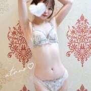 ヒメ日記 2025/04/16 21:45 投稿 うたの コートダジュール