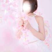 ヒメ日記 2025/05/16 22:22 投稿 うたの コートダジュール