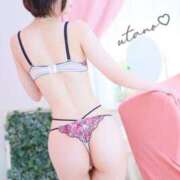 ヒメ日記 2025/05/31 21:59 投稿 うたの コートダジュール