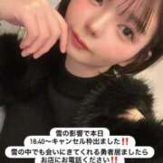 ヒメ日記 2026/02/08 14:22 投稿 うたの コートダジュール