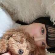 ヒメ日記 2025/11/23 16:30 投稿 ゆうか カルテ