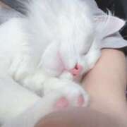 らぶ エッホエッホεε＝🦉エッホエッホ SCREEN(スクリーン)