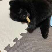 ヒメ日記 2025/12/31 14:19 投稿 CONAN GINGIRA☆TOKYO～ギンギラ東京～