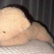 ヒメ日記 2026/02/14 00:26 投稿 CONAN GINGIRA☆TOKYO～ギンギラ東京～