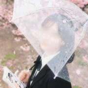 ヒメ日記 2026/04/01 15:20 投稿 みく 池袋添い寝女子