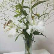 ヒメ日記 2026/01/08 10:27 投稿 るい One More奥様　厚木店