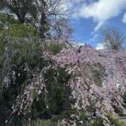 ヒメ日記 2026/03/31 16:07 投稿 るい One More奥様　厚木店