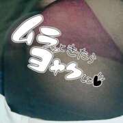 ヒメ日記 2026/03/16 21:11 投稿 いろは 石川金沢ちゃんこ