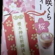 ヒメ日記 2025/03/05 15:00 投稿 みお カワサキEROTIC（ソープランド）