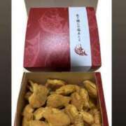 ヒメ日記 2025/04/08 15:00 投稿 みお カワサキEROTIC（ソープランド）