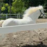 ヒメ日記 2025/05/16 15:00 投稿 みお カワサキEROTIC（ソープランド）