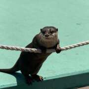 ヒメ日記 2025/09/05 15:00 投稿 みお カワサキEROTIC（ソープランド）