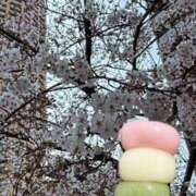 ヒメ日記 2026/03/30 15:01 投稿 みお カワサキEROTIC（ソープランド）