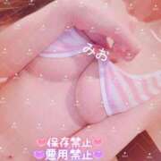 ヒメ日記 2026/08/25 17:00 投稿 みお カワサキEROTIC（ソープランド）