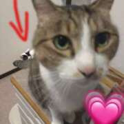 ヒメ日記 2025/02/06 11:47 投稿 あい 千葉松戸ちゃんこ