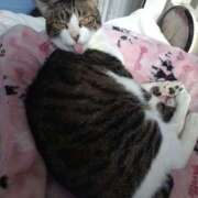 ヒメ日記 2025/02/22 11:41 投稿 あい 千葉松戸ちゃんこ