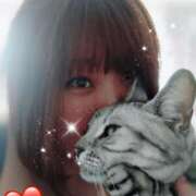 ヒメ日記 2025/04/07 11:44 投稿 あい 千葉松戸ちゃんこ