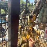 ヒメ日記 2025/05/10 11:41 投稿 あい 千葉松戸ちゃんこ