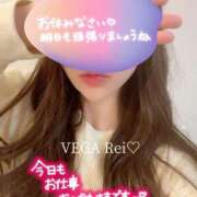 ヒメ日記 2024/12/11 23:10 投稿 水嶋 れい Men's relaxation VEGA