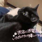 ヒメ日記 2025/02/20 12:40 投稿 ひすい イキなり生彼女from大宮