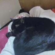 ヒメ日記 2025/04/18 14:00 投稿 ひすい イキなり生彼女from大宮