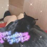 ヒメ日記 2025/06/23 12:50 投稿 ひすい イキなり生彼女from大宮