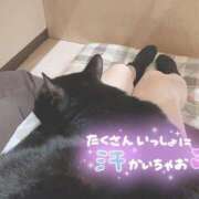 ヒメ日記 2025/07/31 13:30 投稿 ひすい イキなり生彼女from大宮